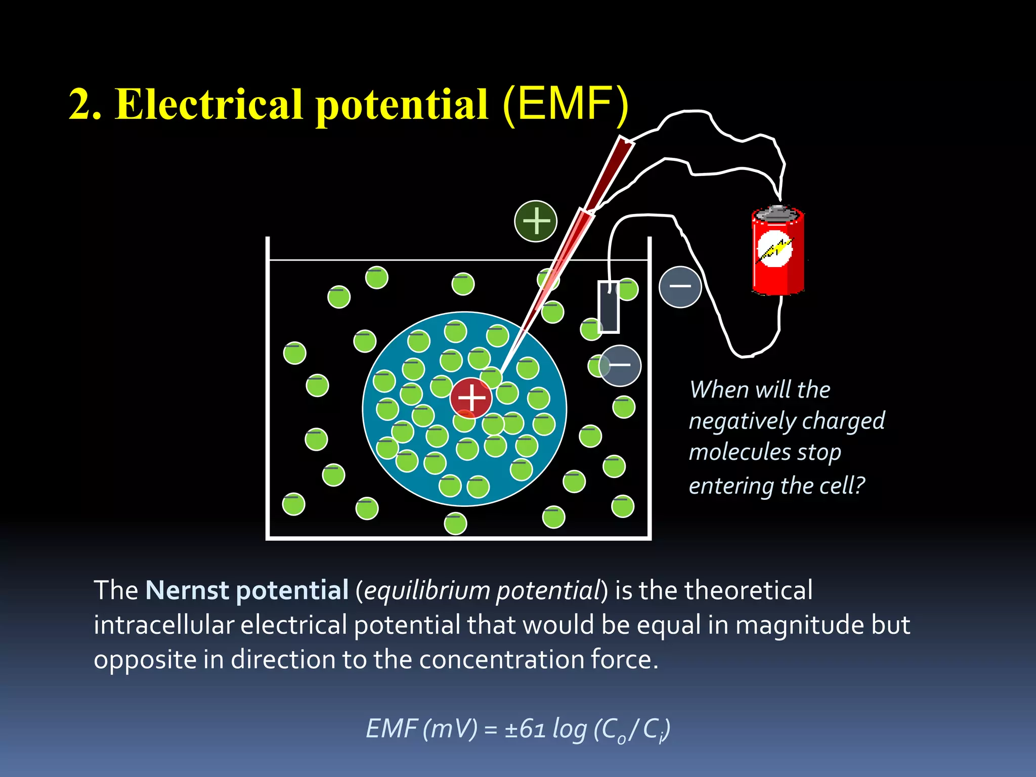   chemically (e.g. acetylcholine receptor channels)inoutNa+ and other ionsNa+