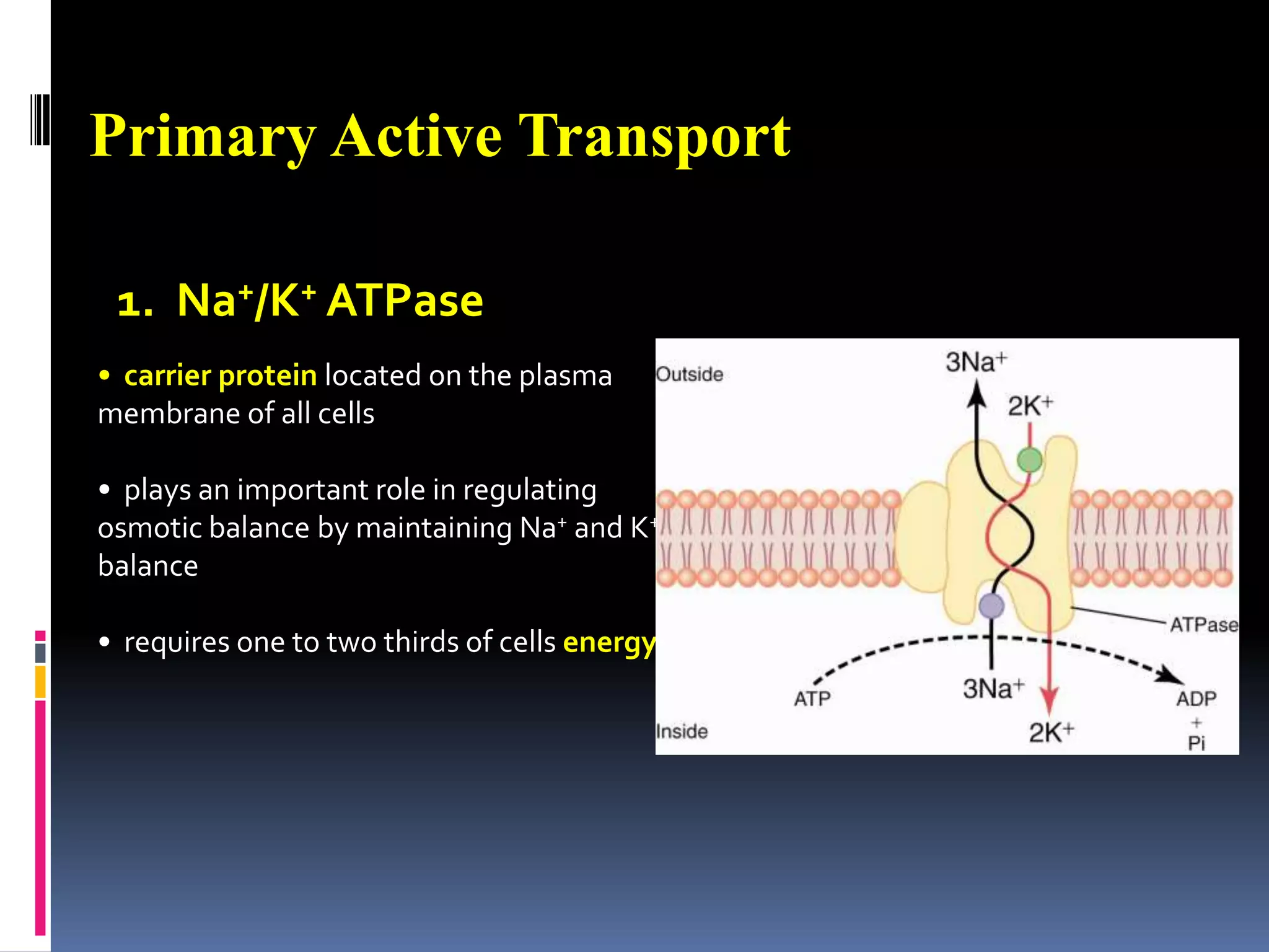 Osmotic Pressure:the amount of pressure required to counter osmosisOsmotic pressure is attributed to the osmolarity of a solution