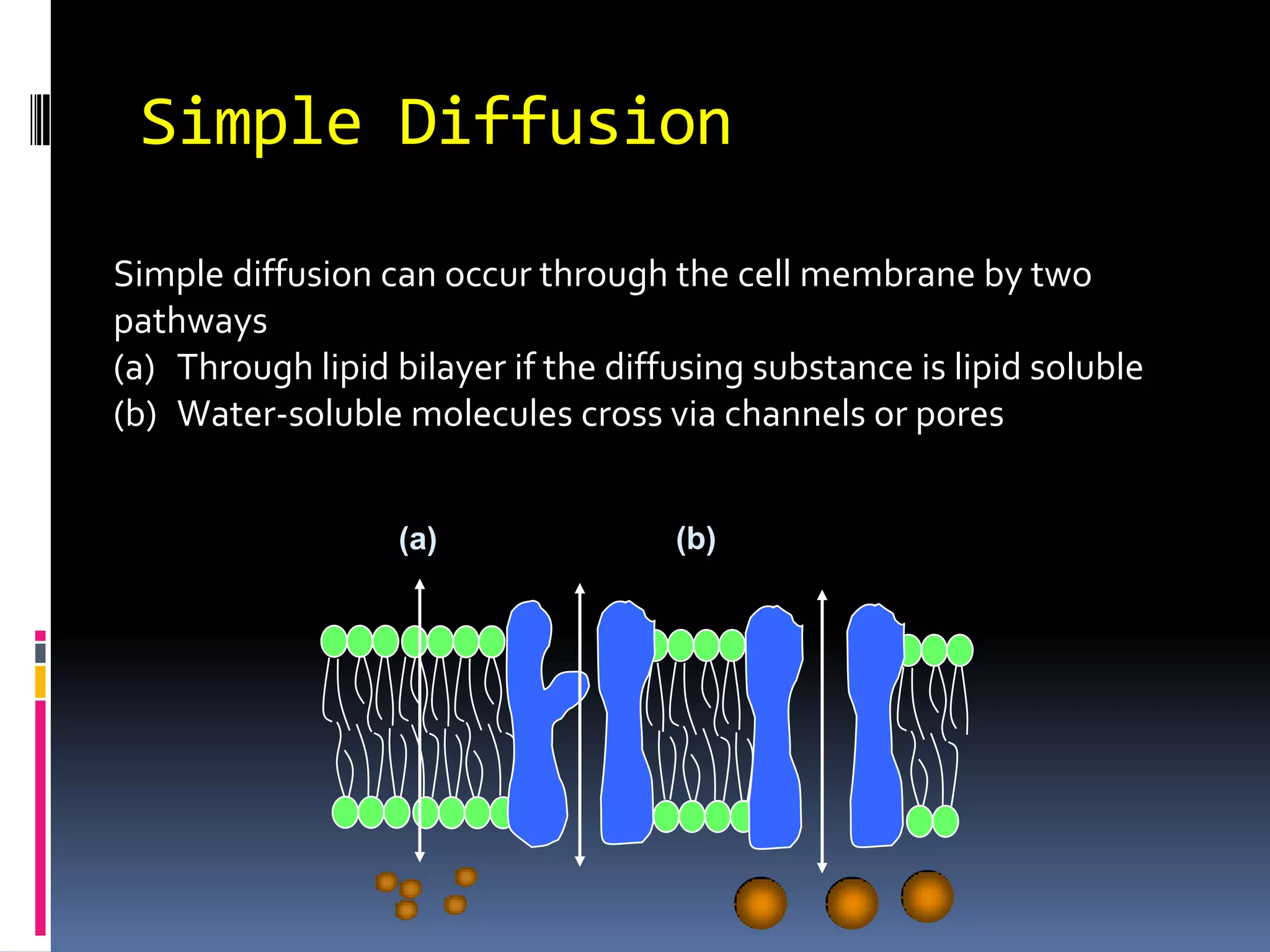 Both channel proteins and the carrier proteins are highly selective in the types of moleculesChannel proteincarrier proteinsK+