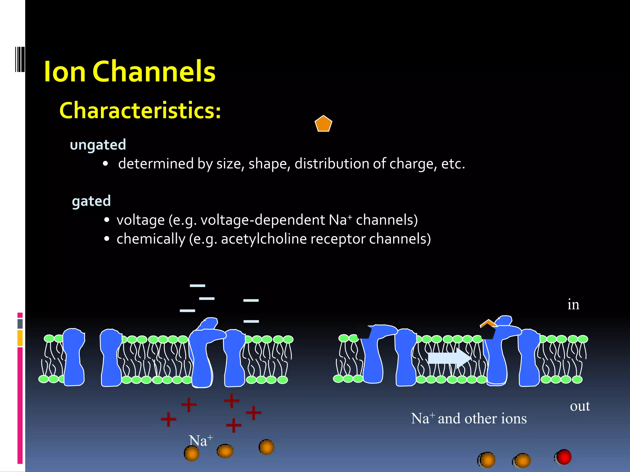 DiffusionActive Transport  occurs against a concn.   gradient  involves a “carrier”