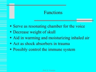 Functions Serve as resonating chamber for the voice Decrease weight of skull Aid in warming and moisturizing inhaled air Act as shock absorbers in trauma Possibly control the immune system Prof. Z. Vinokur 