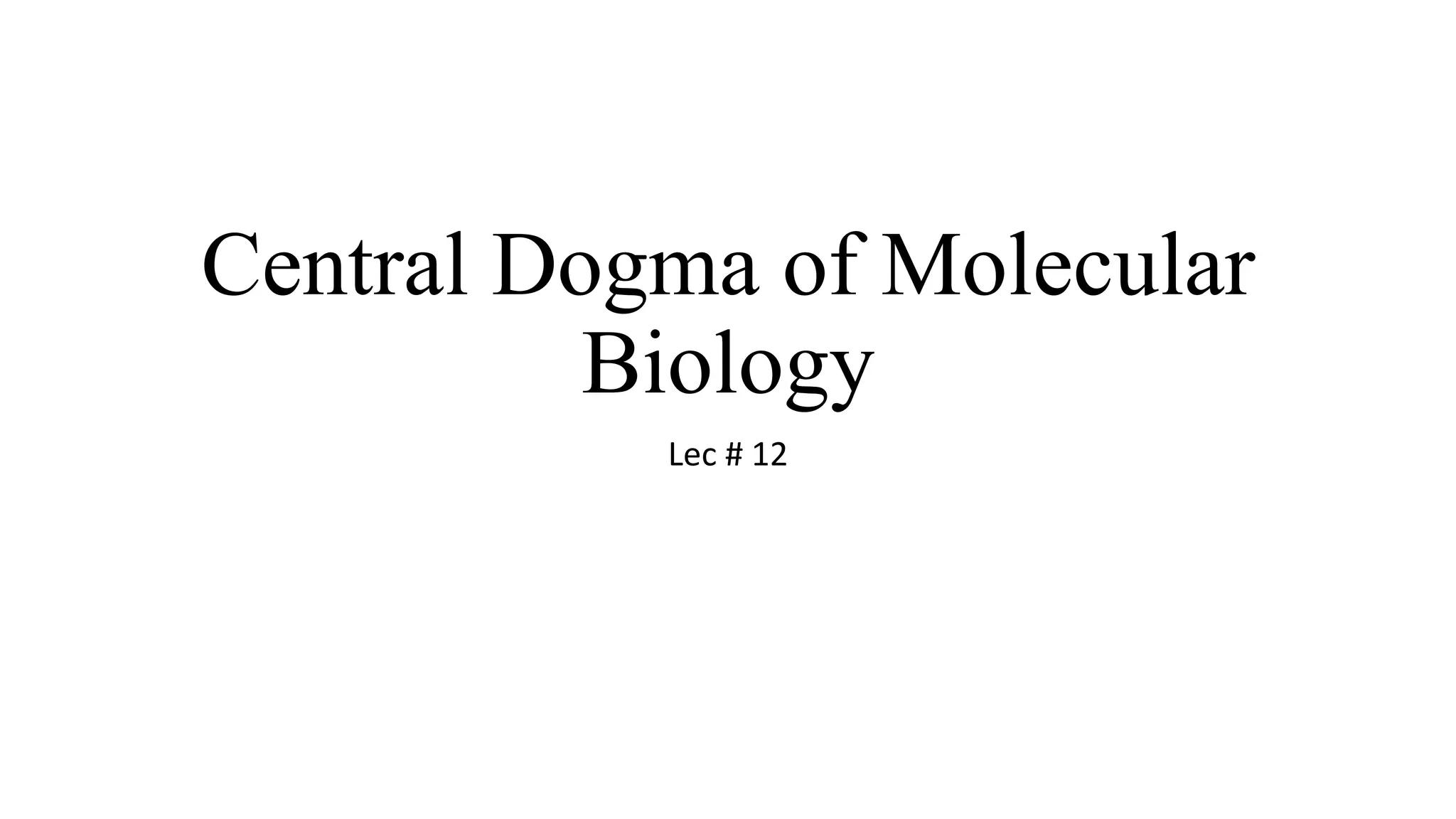 Lec 12 central dogma pptx presentation power point ppt