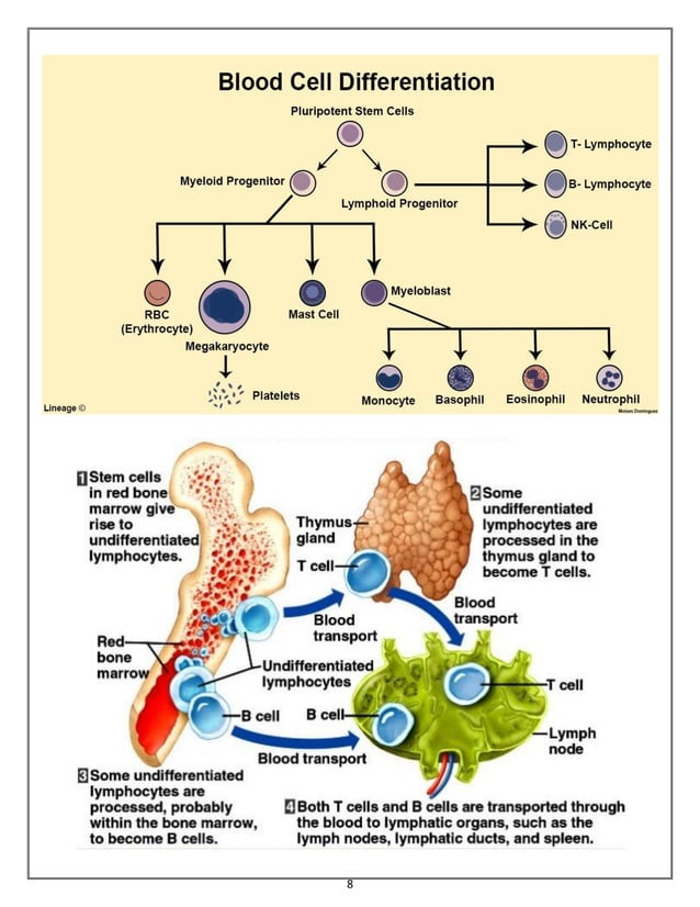 Immunology (Innate and adaptive immune systems) (ANTIGENS (Ag)) PDF