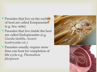 Parasite Def Lec 1 & 2 Introduction to parasitology (2).ppt