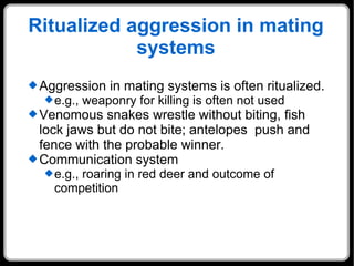 Ritualized aggression in mating systems Aggression in mating systems is often ritualized.  e.g., weaponry for killing is often not used Venomous snakes wrestle without biting, fish lock jaws but do not bite; antelopes  push and fence with the probable winner.  Communication system e.g., roaring in red deer and outcome of competition 