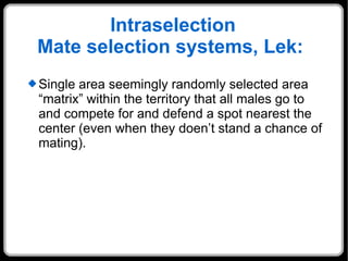 Intraselection Mate selection systems, Lek:  Single area seemingly randomly selected area “matrix” within the territory that all males go to and compete for and defend a spot nearest the center (even when they doen’t stand a chance of mating). 