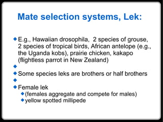 Mate selection systems, Lek:  E.g., Hawaiian drosophila,  2 species of grouse, 2 species of tropical birds, African antelope (e.g., the Uganda kobs), prairie chicken, kakapo (flightless parrot in New Zealand) Some species leks are brothers or half brothers Female lek (females aggregate and compete for males) yellow spotted millipede 