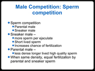 Male Competition: Sperm competition Sperm competition Parental male Sneaker male Sneaker male –  more sperm per ejaculate Short lived sperm Increases chance of fertilization Parental male –  less dense longer lived high quality sperm When same density, equal fertilization by parental and sneaker sperm 