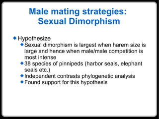 Male mating strategies:  Sexual Dimorphism Hypothesize  Sexual dimorphism is largest when harem size is large and hence when male/male competition is most intense 38 species of pinnipeds (harbor seals, elephant seals etc.) Independent contrasts phylogenetic analysis Found support for this hypothesis 