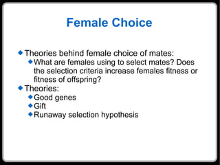 Female Choice Theories behind female choice of mates: What are females using to select mates? Does the selection criteria increase females fitness or fitness of offspring? Theories: Good genes Gift Runaway selection hypothesis 