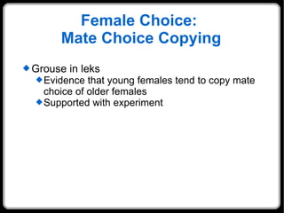 Female Choice:  Mate Choice Copying Grouse in leks Evidence that young females tend to copy mate choice of older females Supported with experiment 