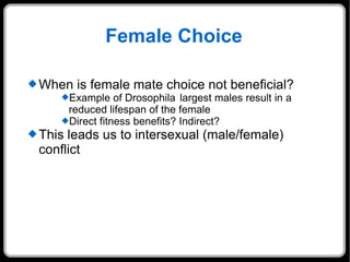 Female Choice When is female mate choice not beneficial? Example of Drosophila largest males result in a reduced lifespan of the female Direct fitness benefits? Indirect? This leads us to intersexual (male/female) conflict  