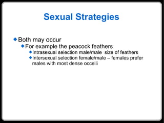 Sexual Strategies Both may occur For example the peacock feathers Intrasexual selection male/male  size of feathers Intersexual selection female/male – females prefer males with most dense occelli 