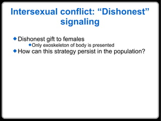 Intersexual conflict: “Dishonest” signaling Dishonest gift to females Only exoskeleton of body is presented How can this strategy persist in the population? 