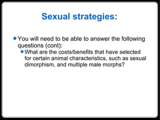 Sexual strategies: You will need to be able to answer the following questions (cont): What are the costs/benefits that have selected for certain animal characteristics, such as sexual dimorphism, and multiple male morphs? 