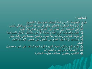 : ‫المكافحة‬: ‫المكافحة‬
: ‫المقاومة‬ ‫طرق‬: ‫المقاومة‬ ‫طرق‬11.‫النضج‬ ‫مبكرة‬ ‫قمح‬ ‫أصناف‬ ‫زراعة‬ -.‫النضج‬ ‫مبكرة‬ ‫قمح‬ ‫أصناف‬ ‫زراعة‬ -
22‫تجنب‬ ‫وبالتالي‬ ‫النضج‬ ‫موعد‬ ‫في‬ ‫يبكر‬ ‫فالتبكير‬ :‫المبكرة‬ ‫الزراعة‬ -‫تجنب‬ ‫وبالتالي‬ ‫النضج‬ ‫موعد‬ ‫في‬ ‫يبكر‬ ‫فالتبكير‬ :‫المبكرة‬ ‫الزراعة‬ -
‫الفتية‬ ‫والحشرات‬ ‫الناضج‬ ‫غير‬ ‫القمح‬ ‫بين‬ ‫الحاصل‬ ‫التزامن‬‫الفتية‬ ‫والحشرات‬ ‫الناضج‬ ‫غير‬ ‫القمح‬ ‫بين‬ ‫الحاصل‬ ‫التزامن‬
33‫للمساهمة‬ ‫المثل‬ ‫بالشكل‬ ‫الرض‬ ‫وخدمة‬ ‫الزراعية‬ ‫بالعمليات‬ ‫القيام‬ -‫للمساهمة‬ ‫المثل‬ ‫بالشكل‬ ‫الرض‬ ‫وخدمة‬ ‫الزراعية‬ ‫بالعمليات‬ ‫القيام‬ -
‫مبكر‬ ‫وقت‬ ‫في‬ ‫حصاده‬ ‫وتأمين‬ ،‫نموه‬ ‫سرعة‬ ‫وزيادة‬ ‫النبات‬ ‫تقوية‬ ‫في‬‫مبكر‬ ‫وقت‬ ‫في‬ ‫حصاده‬ ‫وتأمين‬ ،‫نموه‬ ‫سرعة‬ ‫وزيادة‬ ‫النبات‬ ‫تقوية‬ ‫في‬
44‫للعام‬ ‫الصابة‬ ‫خفض‬ ‫في‬ ‫الحقول‬ ‫من‬ ‫القمح‬ ‫بقايا‬ ‫إزالة‬ ‫وتساعد‬ -‫للعام‬ ‫الصابة‬ ‫خفض‬ ‫في‬ ‫الحقول‬ ‫من‬ ‫القمح‬ ‫بقايا‬ ‫إزالة‬ ‫وتساعد‬ -
‫القادم‬‫القادم‬
55‫محصول‬ ‫نمو‬ ‫على‬ ‫تساعد‬ ‫الزراعية‬ ‫الدورة‬ :‫الزراعية‬ ‫الدورة‬ ‫إتباع‬ -‫محصول‬ ‫نمو‬ ‫على‬ ‫تساعد‬ ‫الزراعية‬ ‫الدورة‬ :‫الزراعية‬ ‫الدورة‬ ‫إتباع‬ -
‫والحشرات‬ ‫بالمراض‬ ‫الصابة‬ ‫قليل‬‫والحشرات‬ ‫بالمراض‬ ‫الصابة‬ ‫قليل‬
66‫للحشرة‬ ‫مقاومة‬ ‫أصناف‬ ‫وتطوير‬ ‫انتخاب‬ -‫للحشرة‬ ‫مقاومة‬ ‫أصناف‬ ‫وتطوير‬ ‫انتخاب‬ -
 