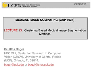 Lec13: Clustering Based Medical Image Segmentation Methods | PDF