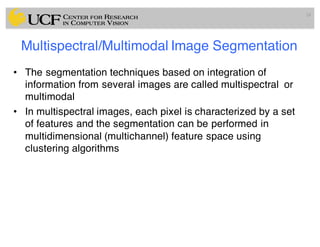 Lec13: Clustering Based Medical Image Segmentation Methods | PDF