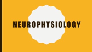 NEUROPHYSIOLOGY
 