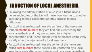 INDUCTION OF LOCAL ANESTHESIA
• Following the administration of a L.A into a tissue near a
nerve, molecules of the L.A will move from on site to another
according to their concentration (this process termed
diffusion)
• Fasciculi that are located near the surface of the nerve are
termed mantle bundles they are first ones reached by the
local anesthetic and they are exposed to a higher
concentration of it. These bundles will be blocked completely
shortly after the injection of a local anesthetic.
• Fasciculi that are located near the center of the nerve are
called core bundles these bundles are contacted by a local
 