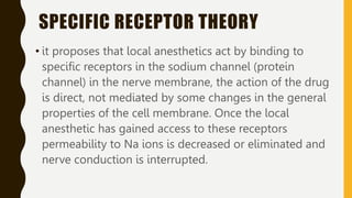 SPECIFIC RECEPTOR THEORY
• it proposes that local anesthetics act by binding to
specific receptors in the sodium channel (protein
channel) in the nerve membrane, the action of the drug
is direct, not mediated by some changes in the general
properties of the cell membrane. Once the local
anesthetic has gained access to these receptors
permeability to Na ions is decreased or eliminated and
nerve conduction is interrupted.
 
