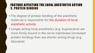FACTORS AFFECTING THE LOCAL ANESTHETIC ACTION
3. PROTEIN BINDING
• The degree of protein binding of the anesthetic
molecule is responsible for the duration of local
anesthetic activity.
• Longer-acting local anesthetics (e.g. bupivacaine) are
more firmly bound in the nerve membrane (increased
protein binding) than are shorter-acting drugs (e.g.
lidocaine)
 