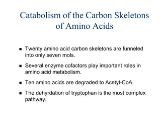 Catabolism of the Carbon Skeletons
         of Amino Acids

   Twenty amino acid carbon skeletons are funneled
    into only seven mols.
   Several enzyme cofactors play important roles in
    amino acid metabolism.
   Ten amino acids are degraded to Acetyl-CoA.
   The dehyrdation of tryptophan is the most complex
    pathway.
 