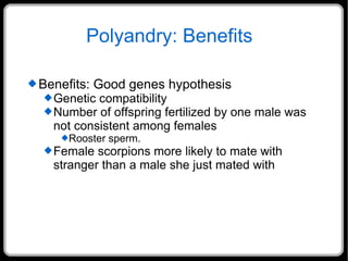 Polyandry: Benefits Benefits: Good genes hypothesis Genetic compatibility Number of offspring fertilized by one male was not consistent among females Rooster sperm. Female scorpions more likely to mate with stranger than a male she just mated with 