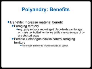 Polyandry: Benefits Benefits: Increase material benefit Foraging territory e.g., polyandrous red-winged black-birds can forage on male controlled territories while monogamous birds are chased away Female Galapagos hawks control foraging territory Turn over territory to Multiple males to patrol  