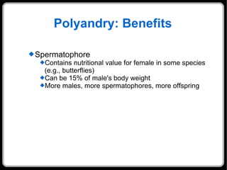 Polyandry: Benefits Spermatophore Contains nutritional value for female in some species (e.g., butterflies) Can be 15% of male's body weight More males, more spermatophores, more offspring 