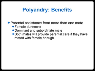 Polyandry: Benefits Parental assistance from more than one mate Female dunnocks  Dominant and subordinate male Both males will provide parental care if they have mated with female enough 