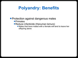 Polyandry: Benefits Protection against dangerous males Primates Reduce infanticide (Hanuman lemurs) Males that have mated with a female will tend to leave her offspring alone 