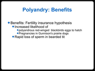 Polyandry: Benefits Benefits: Fertility insurance hypothesis Increased likelihood of  polyandrous red-winged  blackbirds eggs to hatch Pregnancies in Gunnison's prairie dogs Rapid loss of sperm in bearded tit 