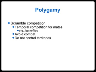 Polygamy Scramble competition Temporal competition for mates e.g., butterflies Avoid combat Do not control territories 