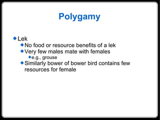 Polygamy Lek No food or resource benefits of a lek Very few males mate with females e.g., grouse Similarly bower of bower bird contains few resources for female 