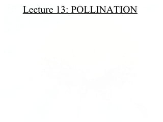 Lecture 13: POLLINATION 
 