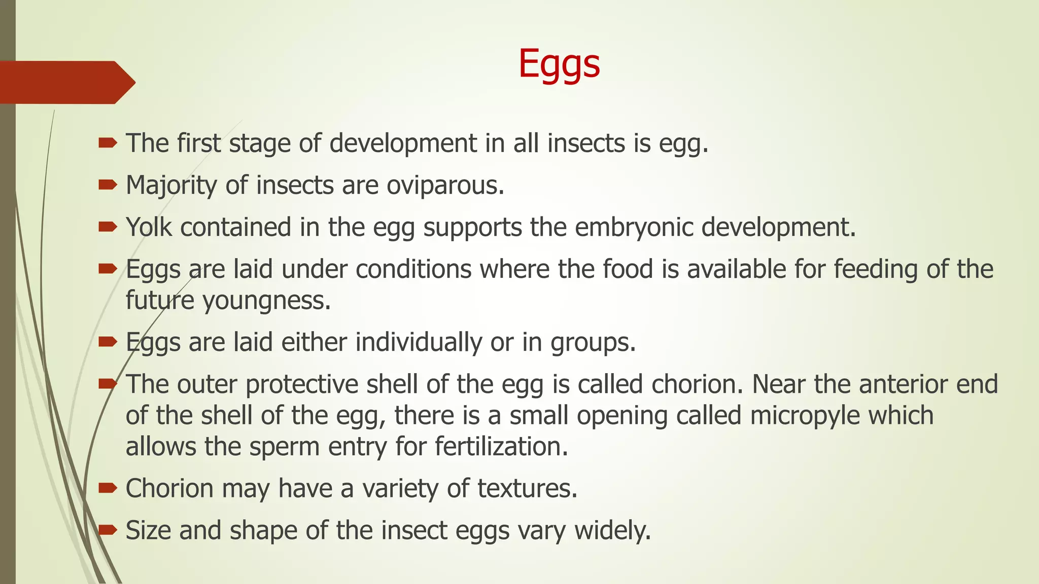 Eggs
 The first stage of development in all insects is egg.
 Majority of insects are oviparous.
 Yolk contained in the egg supports the embryonic development.
 Eggs are laid under conditions where the food is available for feeding of the
future youngness.
 Eggs are laid either individually or in groups.
 The outer protective shell of the egg is called chorion. Near the anterior end
of the shell of the egg, there is a small opening called micropyle which
allows the sperm entry for fertilization.
 Chorion may have a variety of textures.
 Size and shape of the insect eggs vary widely.
 