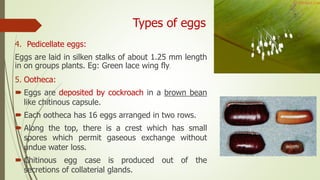Type of larvae and pupa in insect | PPTX