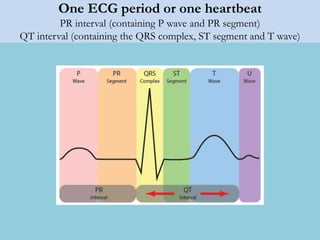 One ECG period or one heartbeat
PR interval (containing P wave and PR segment)
QT interval (containing the QRS complex, ST segment and T wave)
 