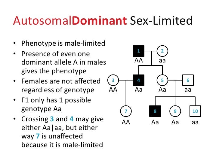 lec14-pedigree-analysis-exercise-free-download-nude-photo-gallery