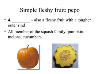 Lec_Seeds_and_FruitSeeds_aSeeds_and_Fruitnd_Fruit.ppt
