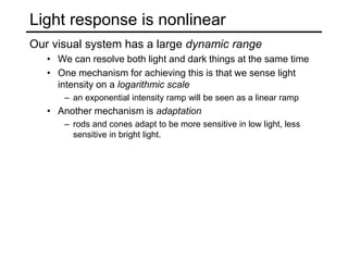 Light response is nonlinear
Our visual system has a large dynamic range
• We can resolve both light and dark things at the same time
• One mechanism for achieving this is that we sense light
intensity on a logarithmic scale
– an exponential intensity ramp will be seen as a linear ramp
• Another mechanism is adaptation
– rods and cones adapt to be more sensitive in low light, less
sensitive in bright light.
 