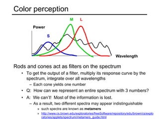 Color perception
Rods and cones act as filters on the spectrum
• To get the output of a filter, multiply its response curve by the
spectrum, integrate over all wavelengths
– Each cone yields one number
• Q: How can we represent an entire spectrum with 3 numbers?
S
M L
Wavelength
Power
• A: We can’t! Most of the information is lost.
– As a result, two different spectra may appear indistinguishable
» such spectra are known as metamers
» http://www.cs.brown.edu/exploratories/freeSoftware/repository/edu/brown/cs/explo
ratories/applets/spectrum/metamers_guide.html
 