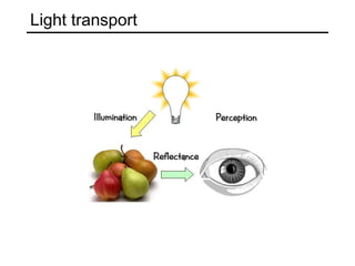 Light transport
 