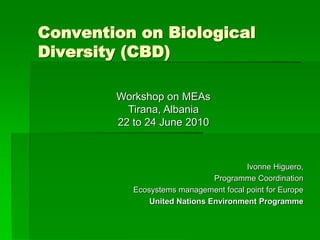 Convention on Biological
Diversity (CBD)
Ivonne Higuero,
Programme Coordination
Ecosystems management focal point for Europe
United Nations Environment Programme
Workshop on MEAs
Tirana, Albania
22 to 24 June 2010
 