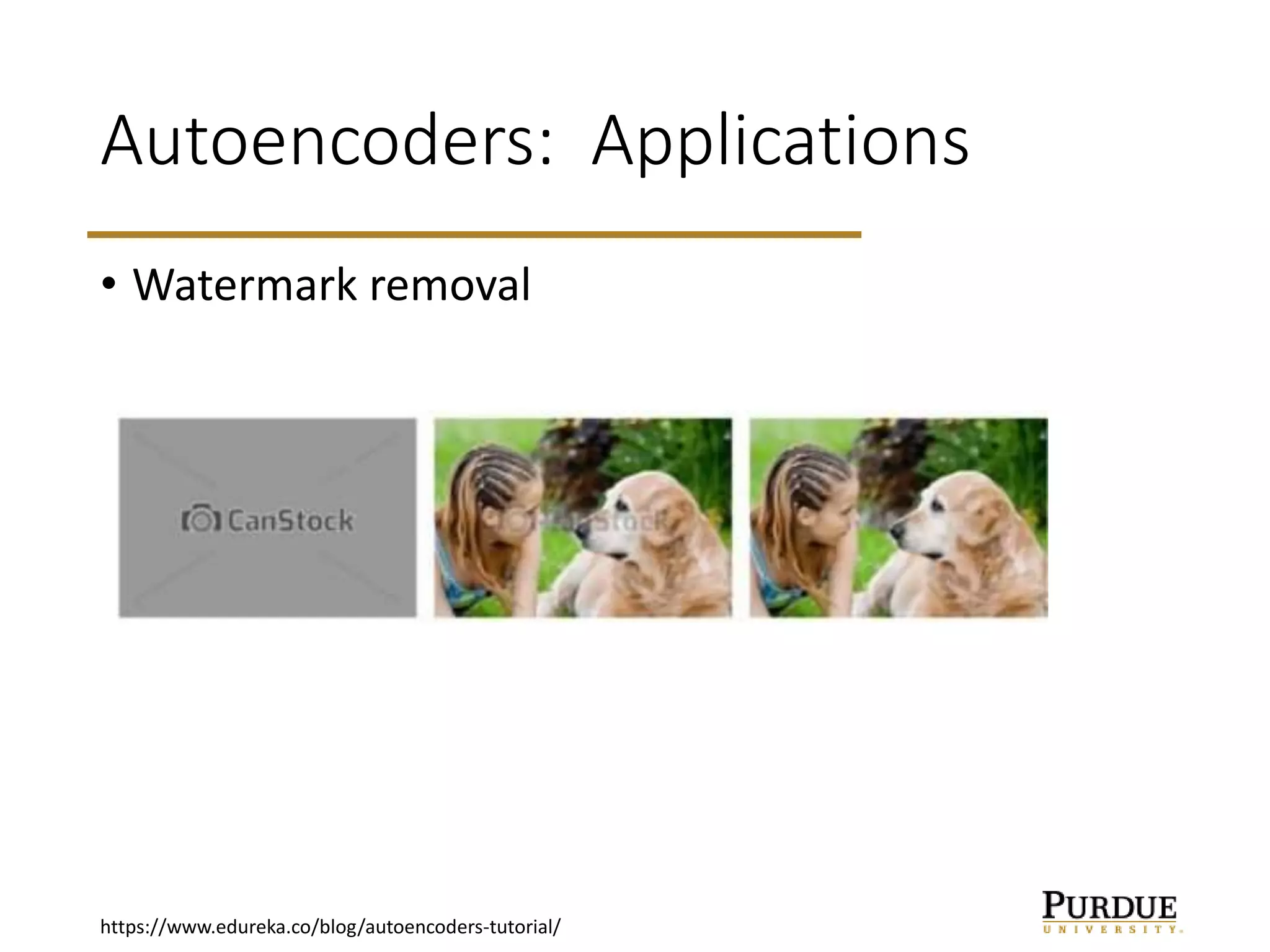 Lec16 - Autoencoders.pptx | Computing | Technology & Computing