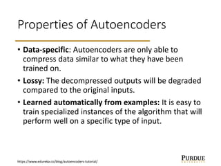 Lec16 - Autoencoders.pptx | Computing | Technology & Computing
