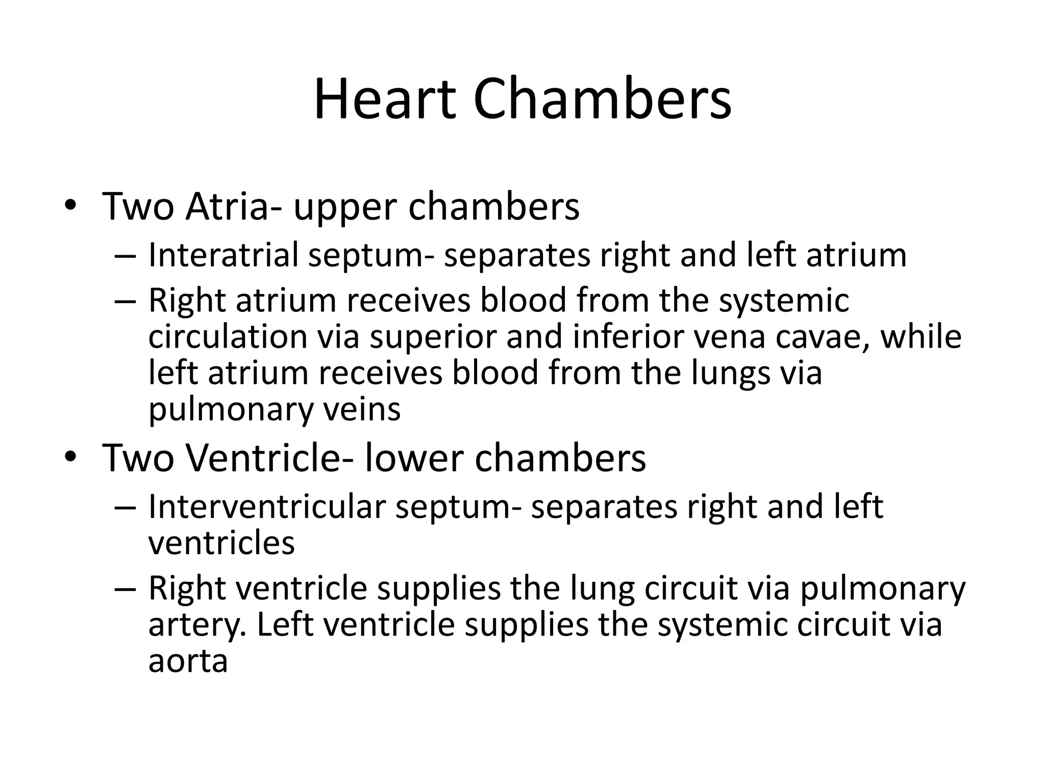 Heart ChambersTwo Atria- upper chambersInteratrialseptum- separates right and left atriumRight atrium receives blood from the systemic circulation via superior and inferior vena cavae, while left atrium receives blood from the lungs via pulmonary veinsTwo Ventricle- lower chambersInterventricular septum- separates right and left ventriclesRight ventricle supplies the lung circuit via pulmonary artery. Left ventricle supplies the systemic circuit via aorta