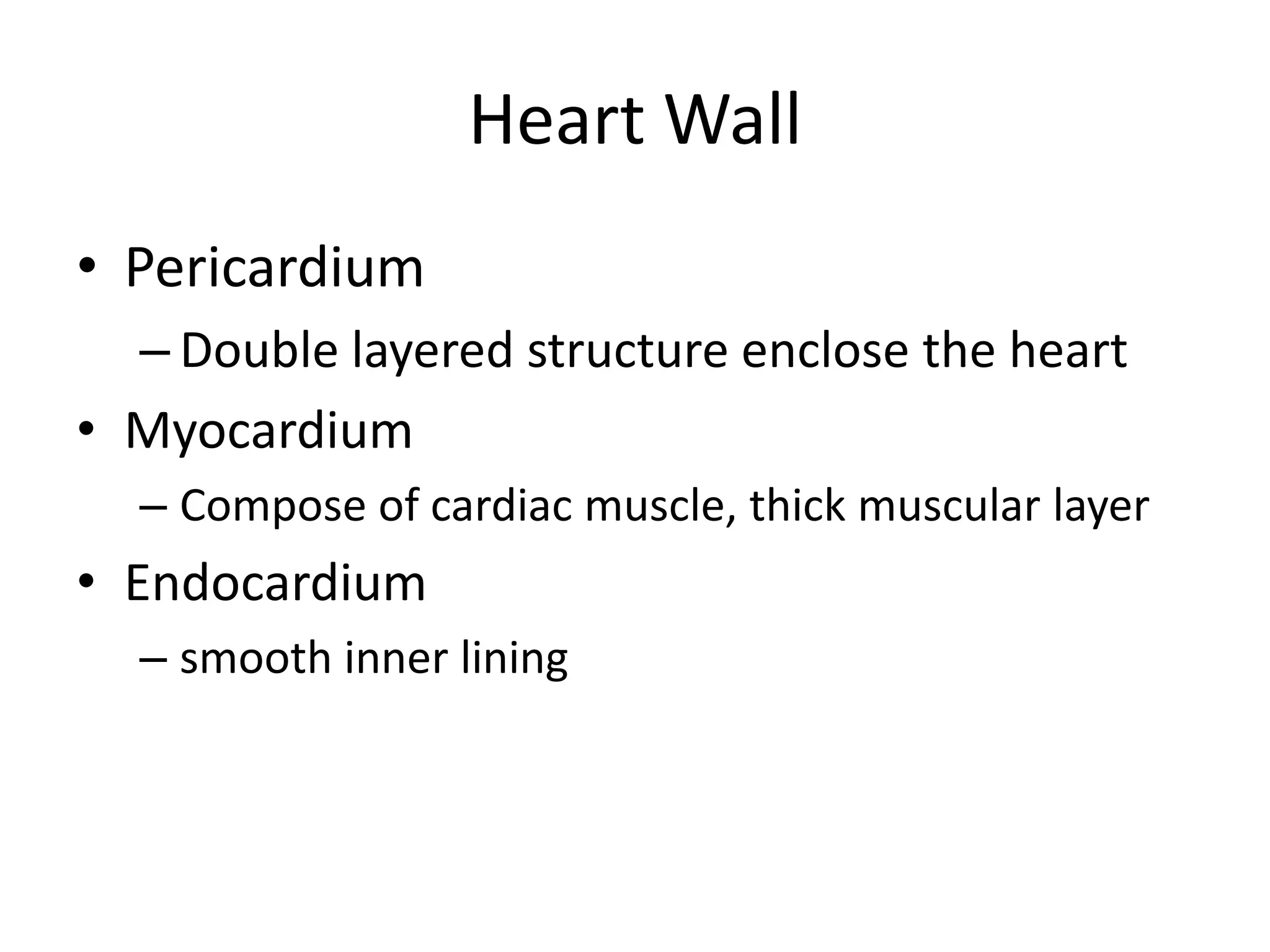 Heart WallPericardiumDouble layered structure enclose the heartMyocardiumCompose of cardiac muscle, thick muscular layerEndocardiumsmooth inner lining