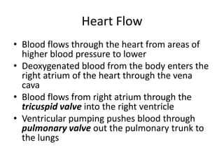 Heart FlowBlood flows through the heart from areas of higher blood pressure to lowerDeoxygenated blood from the body enters the right atrium of the heart through the vena cavaBlood flows from right atrium through the tricuspid valve into the right ventricleVentricular pumping pushes blood through pulmonary valve out the pulmonary trunk to the lungs